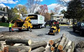 Best Commercial Tree Services  in White Pine, TN