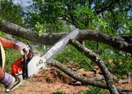 Best Lawn Irrigation Installation and Maintenance  in White Pine, TN
